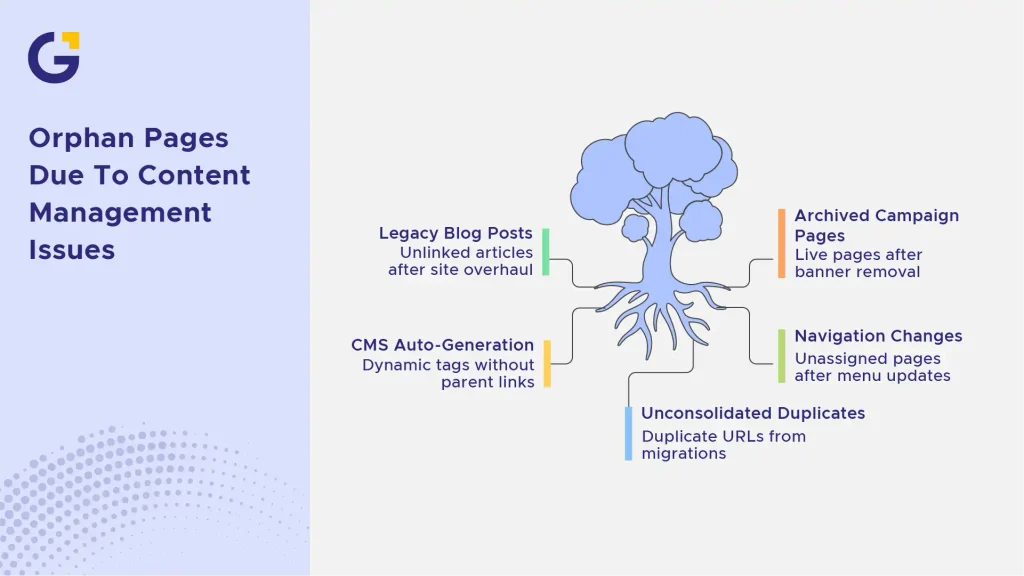 Common Causes of Orphan Pages